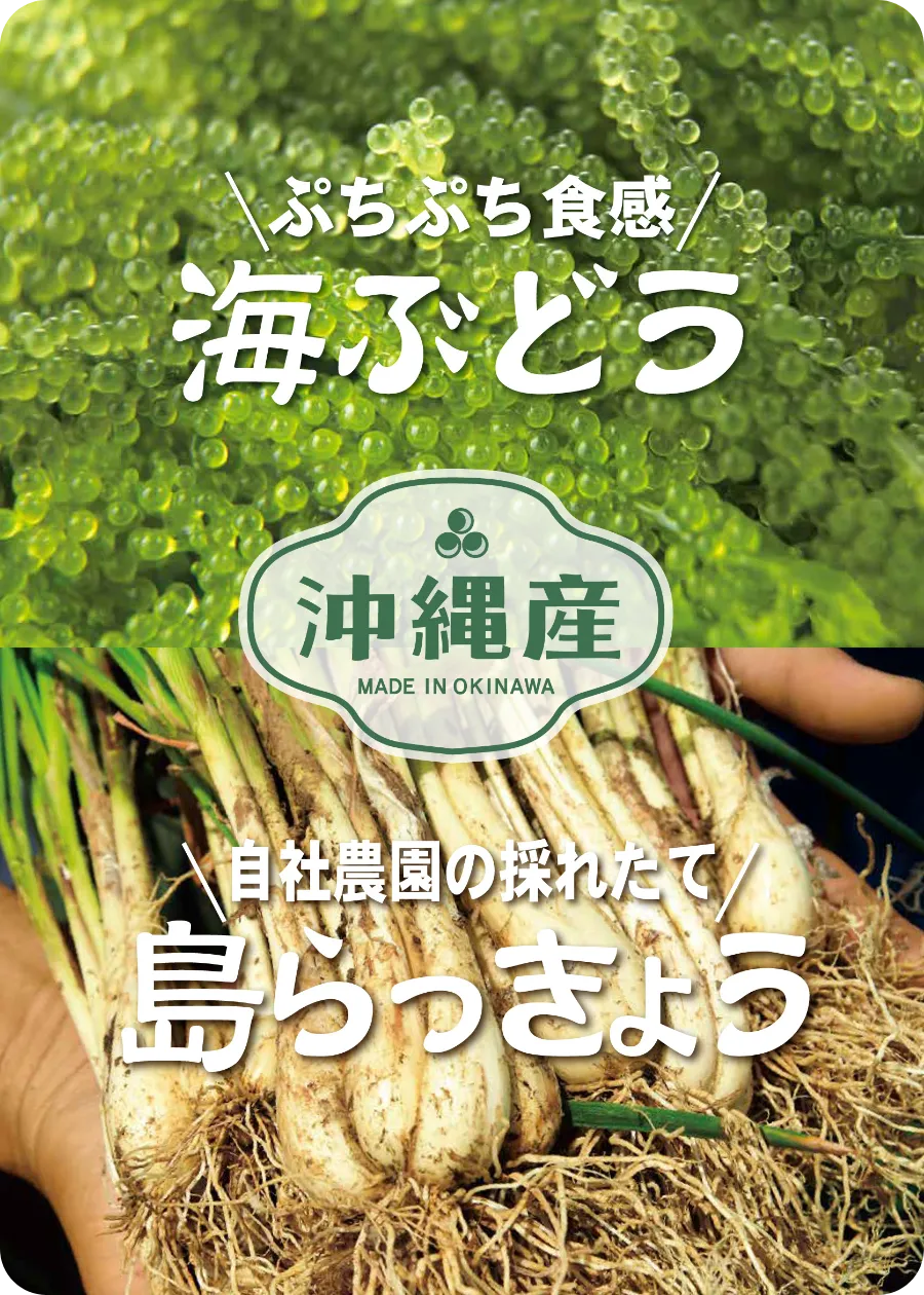 海ぶどう・島らっきょう