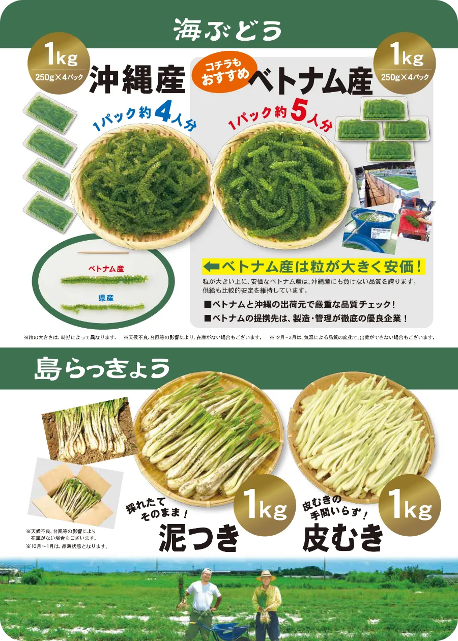 海ぶどう・島らっきょう